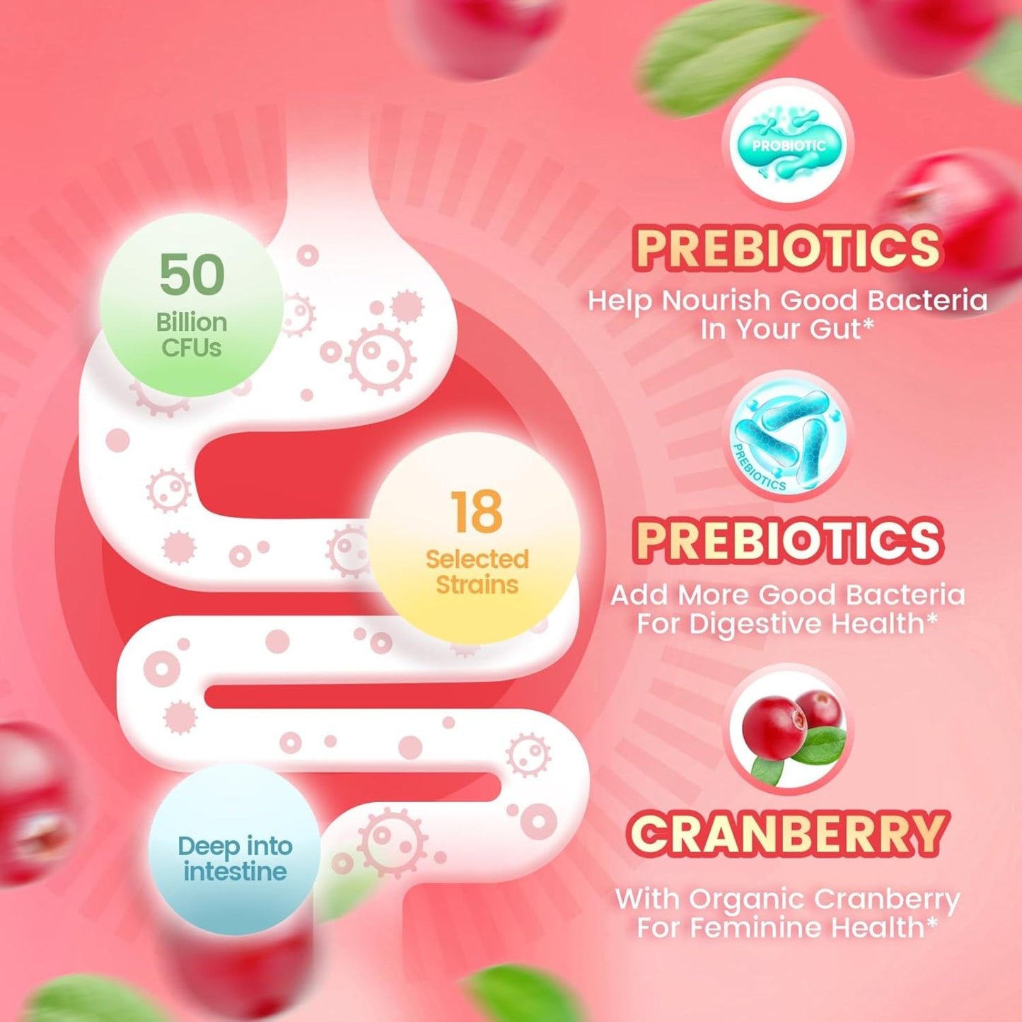Cranberry + Probiotic Gummies